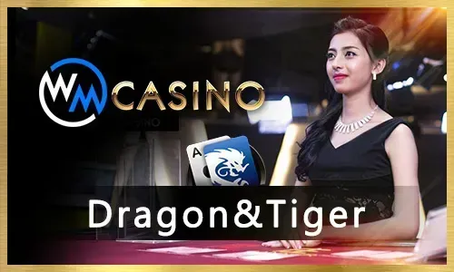 Trusted Live Casino Provider 3